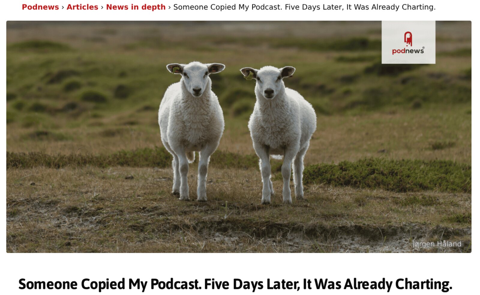 Screenshot of Lisa Lacy's Podnews article headlined Someone Copied My Podcast. Five Days Later, It Was Already Charting, under a photo of two identical lambs in a field. Screenshot: Podnews, October 30, 2026